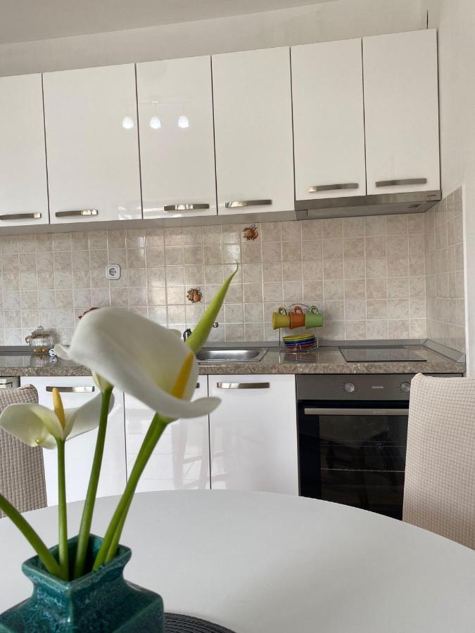 Studio Apartment Novak Cilipi Bagian luar foto